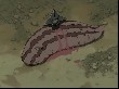 Naruto 026 027 (284).jpg